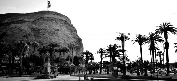 Arica