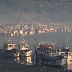 Lebu
