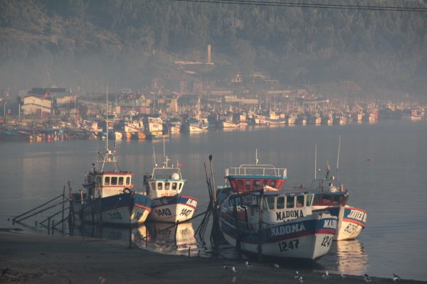 Lebu
