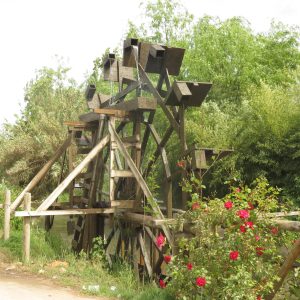 Pichidegua