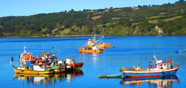 Dalcahue