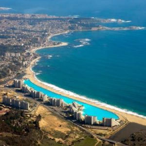 Algarrobo
